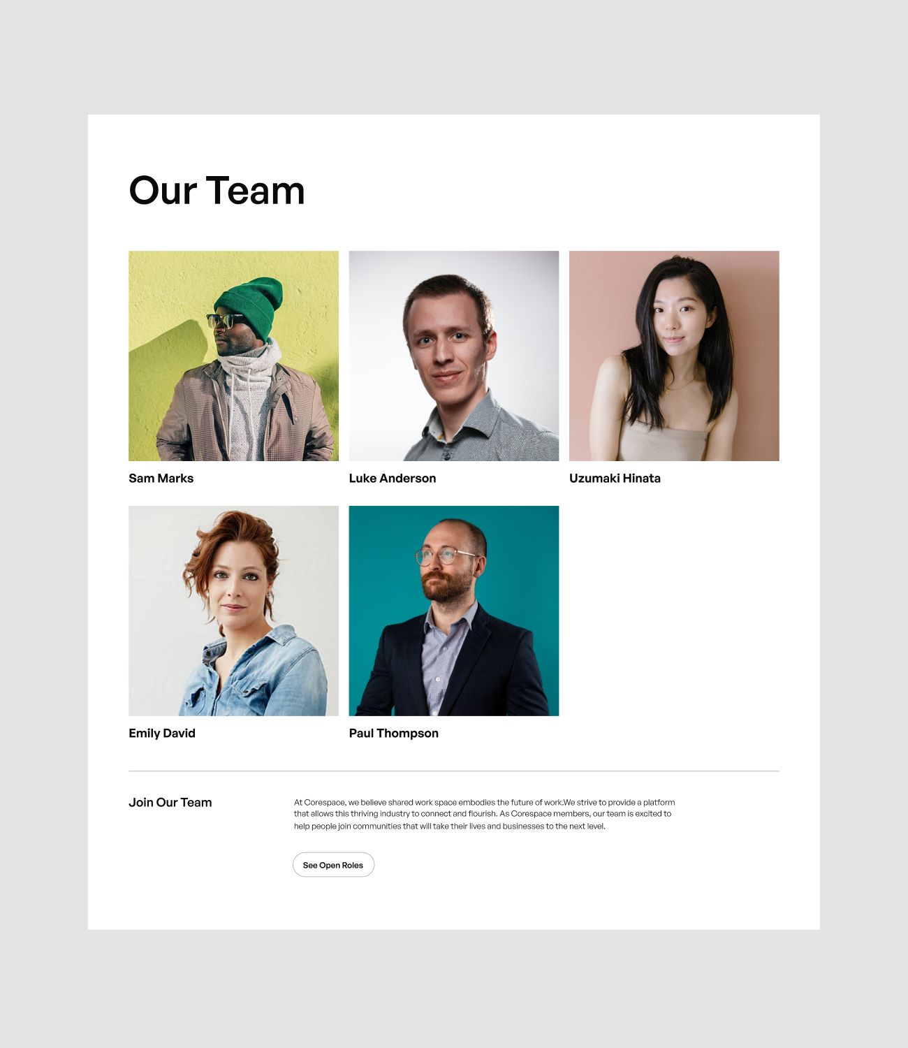 our team section